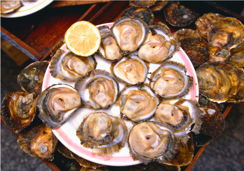 galicia vigo oyster market