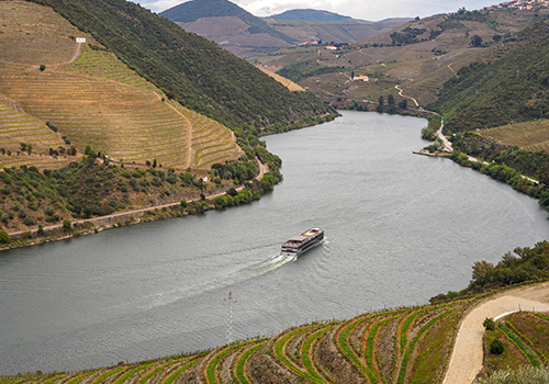 deep valleys of the winemaking region of Douro Valley