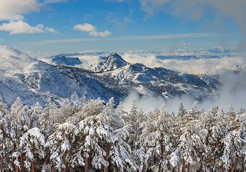 Sierra Nevada covered with snow