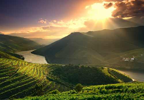 melhores vinhos portugueses: pôr do sol alto douro
