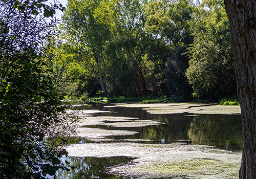 a park overlooking the river Tormes