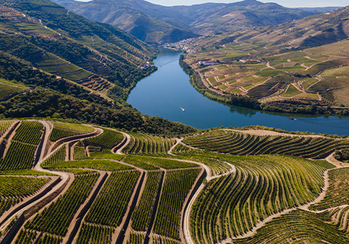 Douro Valley near Pinhão