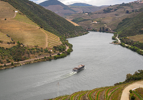 Douro Valley Cruise